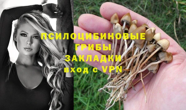 каннабис Алзамай
