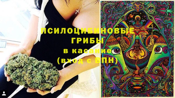 гидра Арсеньев