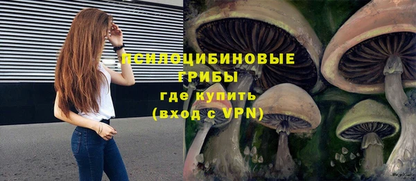 гидропоника Алексин