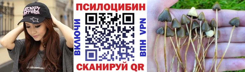купить наркотик  Медынь  mega сайт  Галлюциногенные грибы мухоморы 